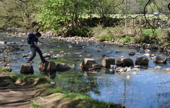 Finde deinen Weg, mit-dem-wind